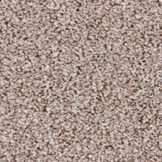 Ковровое покрытие Filoteks DISCOVERY 50 Ковровое покрытие Filoteks DISCOVERY 50